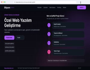 bitparoteknoloji.com: Özel Yazılım Yaptırmadan Önce Kapsam Nasıl Belirlenmeli?